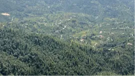 Chauli Ki Jali viewpoint